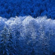 Попов Андрей on My World.
