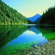 akkol_forever группа в Моем Мире.