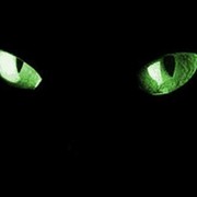 Эти мистические "зеленые" глаза... группа в Моем Мире.