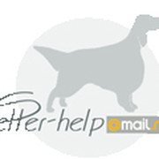 Setter-help, сеттеры, легавые, гончие группа в Моем Мире.