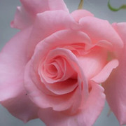 Наталья Шнип on My World.