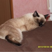 Марго965 Цаболова on My World.