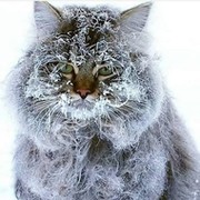 васильченко  васильченко3 on My World.