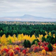 Алексей Покумин on My World.