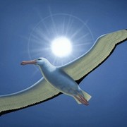 albatros albatros on My World.