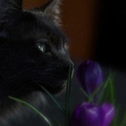 Алёна Пантелеева on My World.