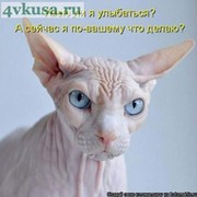 АЛЕКСАНДР БОБР on My World.