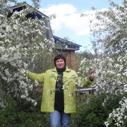Елена Шумейко on My World.