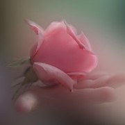 Рита Бабаджанова  on My World.