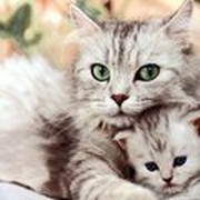 Даша Михайловская on My World.