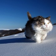 Дима (V) БиК 1150+ on My World.