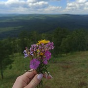 Проничева елена фото