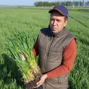 Сергей Фадеев on My World.