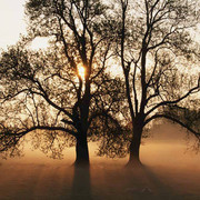 Дмитрий ------------ on My World.