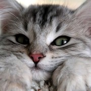 Наталья Ситникова on My World.