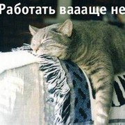 SvetaКлондТорг Светлана Хохлова on My World.