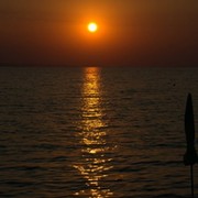 Ник The Best on My World.
