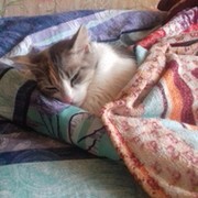 Никита Никитос on My World.