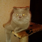 Оксана Иванова on My World.