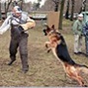 Николай Кривонос on My World.