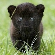 Ольга Кимa on My World.