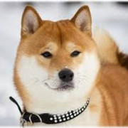 Ел Су on My World.