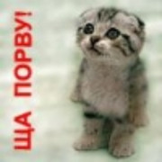 qwerty qwerty в Моем Мире.