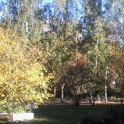 юрий крюков on My World.