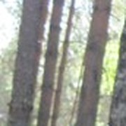 Алексей Степанов on My World.