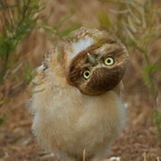 Lena Lezhepekova on My World.