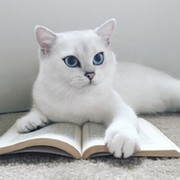 Лидия Утгоф on My World.