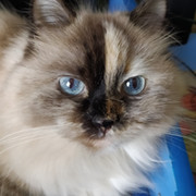Галина Николаевна on My World.