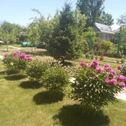 Виктор Мишагин on My World.
