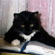 Кот Ученый on My World.