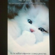 Сабира Зугумова on My World.