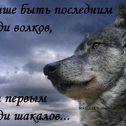 Серый Волк on My World.