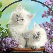 Татьяна Федоровна on My World.