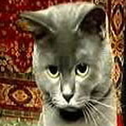 Юрий Томенко on My World.