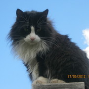 Галина Болотникова on My World.