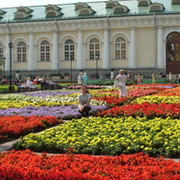 Майский ландыш on My World.