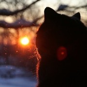 Yaroslava P. on My World.