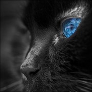 Юрий Синьков on My World.