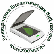 Сергей Zoometod on My World.
